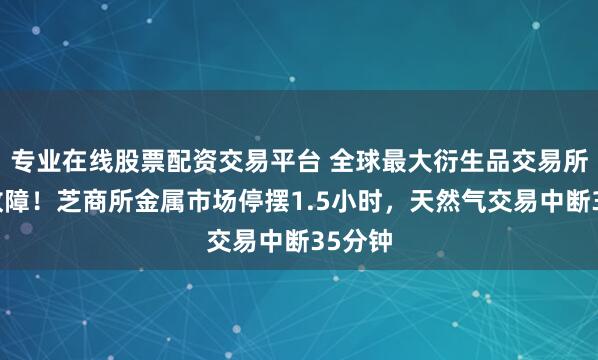 专业在线股票配资交易平台 全球最大衍生品交易所突发故障！芝商所金属市场停摆1.5小时，天然气交易中断35分钟