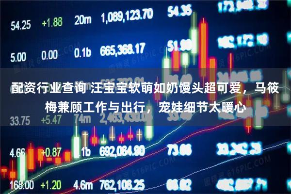 配资行业查询 汪宝宝软萌如奶馒头超可爱，马筱梅兼顾工作与出行，宠娃细节太暖心