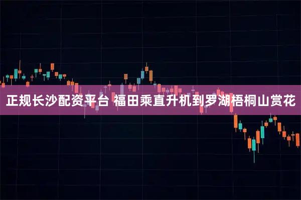 正规长沙配资平台 福田乘直升机到罗湖梧桐山赏花